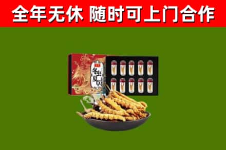高安市回收冬虫夏草价格